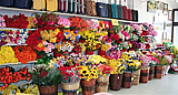 vendita fiori artificiali